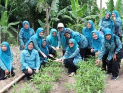 Tinawati Andra Soni Beri Pembinaan Kader PKK di Kabupaten Lebak
