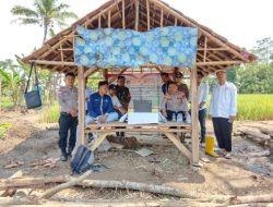 Launching Program Ketahanan Pangan Desa Sukaseneng ” BumDes Karya Mandiri ” Resmi Buka Unit Usaha Pertanian Jagung