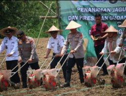 Polres Pandeglang Gelar Penanaman Jagung Serentak Kuartal IV Dukung Ketahanan Pangan Nasional