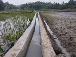 Pembangunan P3TGAI, Di Desa Keusik Selesai Dilaksanakan dan Sudah di Serah Terimakan PekerjaanNya