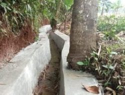 Pihak BBWSCCC : Harap Audit Adanya Dugaan Pemindahan Program P3-TGAI di Desa Sindanghayu