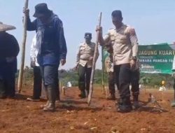 Mendukung Swasembada Pangan 2025 ,Kapolsek Rangkasbitung Polres Lebak Bersama Kades Pasir Tanjung Tanam Jagung Kuartal IV Jenis MAXXI AGRI