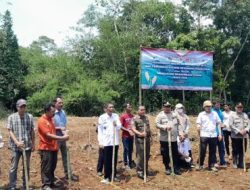Gempita Siap Sukseskan : Polsek Saketi Polres Pandeglang Tanam Jagung Kuartal IV di Desa Rawasari