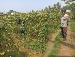 Anggota Polsek Rangkasbitung Polres Lebak Temui Kelompok Tani Desa Pabuaran