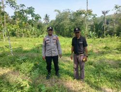 Kanit Binmas Polsek Rangkasbitung Polres Lebak dan Kades Cimangeunteung Cek Kesiapan Lahan Untuk Tanam Jagung Program