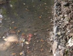 Wow : AdaNya Dugaan Ladang Korupsi di Pekerjaan Kontruksi Jaringan Irigasi Pada Satuan Dinas PUPR Provinsi Banten Bidang SDA