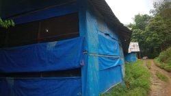 Pengusaha Ternak Ayam di Desa Cijaku : Timbulkan Lalat Masuk ke Rumah Warga dan Bau Busuk