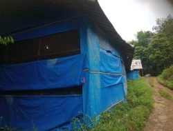 Pengusaha Ternak Ayam di Desa Cijaku : Timbulkan Lalat Masuk ke Rumah Warga dan Bau Busuk