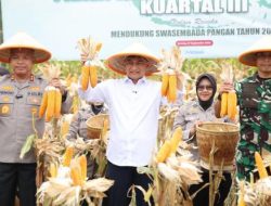 Polda Banten Mencatat Serapan Hasil Panen Jagung Capai 2.684,5 Ton