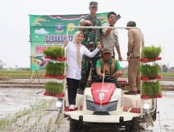 Bupati Serang Ratu Zakiyah Lakukan Percepatan Tanam Padi Gunakan Transplanter di Kramatwatu