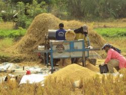 Pada September 2025 Nilai Tukar Petani Banten Mengalami Kenaikan