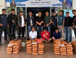 BNN Sumbar Bongkar Peredaran 100 Paket Ganja di Agam, 3 Orang Diamankan