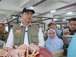 Pemerintah Sidak Pasar Sepekan Terakhir, Harga Daging Hingga Cabai Terpantau Turun