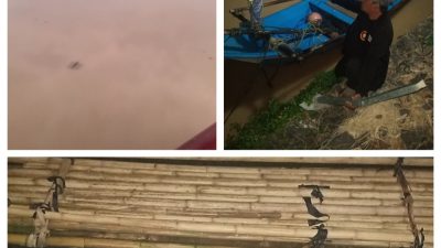 Lapor Pak Presiden..! Air Sungai Cidikit Keruh, sementara Sebelahnya Cimadur Bening