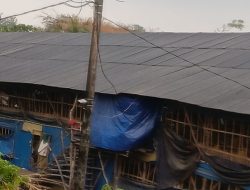 Diduga Gunakan Listrik Tanpa kWh Meter: Perusahaan Kandang Ayam di Cilegon, Jadi Sorotan ‎