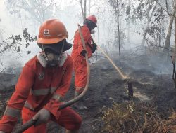 Atasi Karhutla Kalimantan, Modifikasi Cuaca Terus Dioptimalkan
