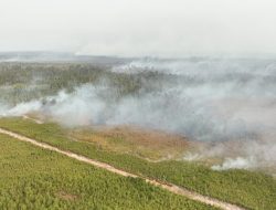 BNPB Perkuat Operasi Udara di Enam Provinsi Prioritas Karhutla